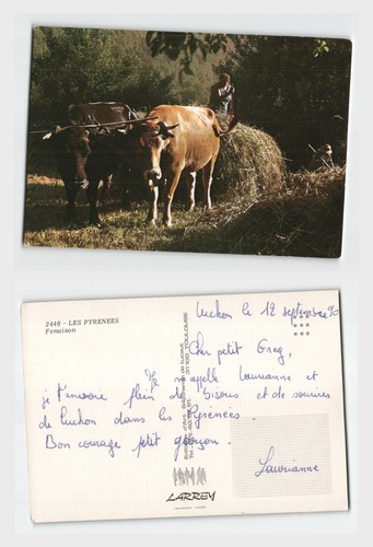 Vintage postcard les - vintage,