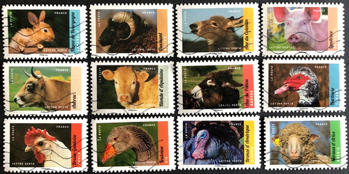France 2017 farm animals - france,