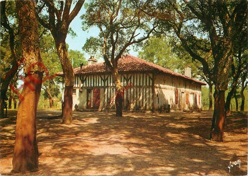 Picture postcard ferme - picture, postcard-:ferme