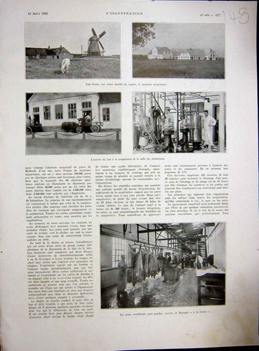 Original old vintage print - original,
